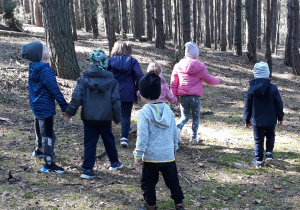 Na obrazku widać kilkoro dzieci spacerujących po lesie. Niektóre z nich obserwują drzewa, inne przyglądają się ściółce leśnej. Jest słoneczna pogoda.