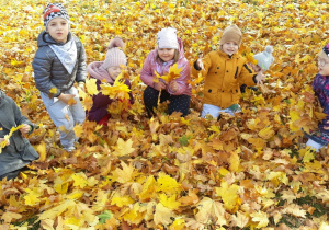 Na obrazku widać kilkoro dzieci w „ morzu” złotych liści. Dzieci trzymają w rękach bukiety wykonane z liści. Przedszkolaki ubrane są w ciepłe ubrania i są zadowolone.