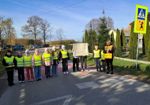 Przeprowadzanie przez pasy przez osobę uprawnioną.