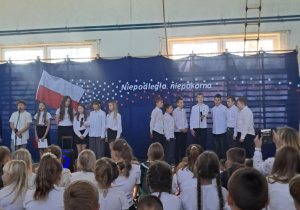 Społeczność szkolna podczas akademii z okazji 11 Listopada