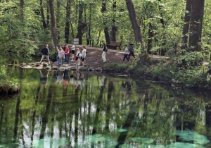 Wycieczka szkolna