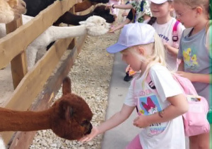 Dzieci podczas wycieczki do Mini Zoo