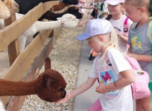 Wycieczka do Mini Zoo w Dobroniance