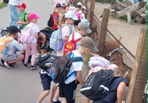 Dzieci podczas wycieczki do Mini Zoo
