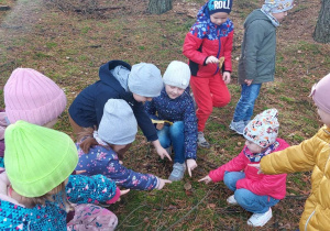 Przedszkolaki szukają w lesie grzybów.