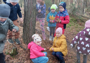 Dzieci obserwują las i to co się w nim znajduje.
